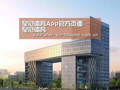 案例展示四