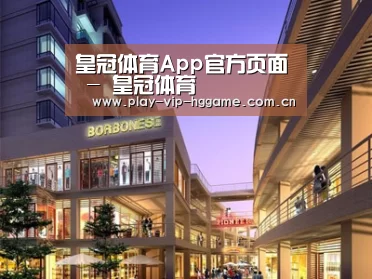 案例展示一