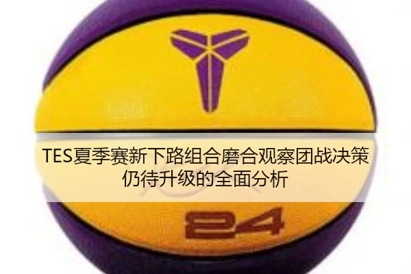 TES夏季赛新下路组合磨合观察团战决策仍待升级的全面分析