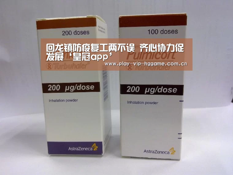 回龙镇防疫复工两不误 齐心协力促发展‘皇冠app’(图3) 皇冠app