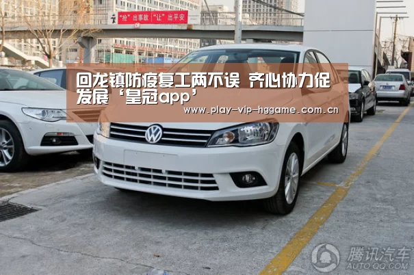 回龙镇防疫复工两不误 齐心协力促发展‘皇冠app’(图2) 皇冠app