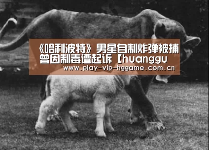 《哈利波特》男星自制炸弹被捕 曾因制毒遭起诉【huangguanyule】(图1) 《哈利波特》男星自制炸弹被捕 曾因制毒遭起诉【huangguanyule】(图1)