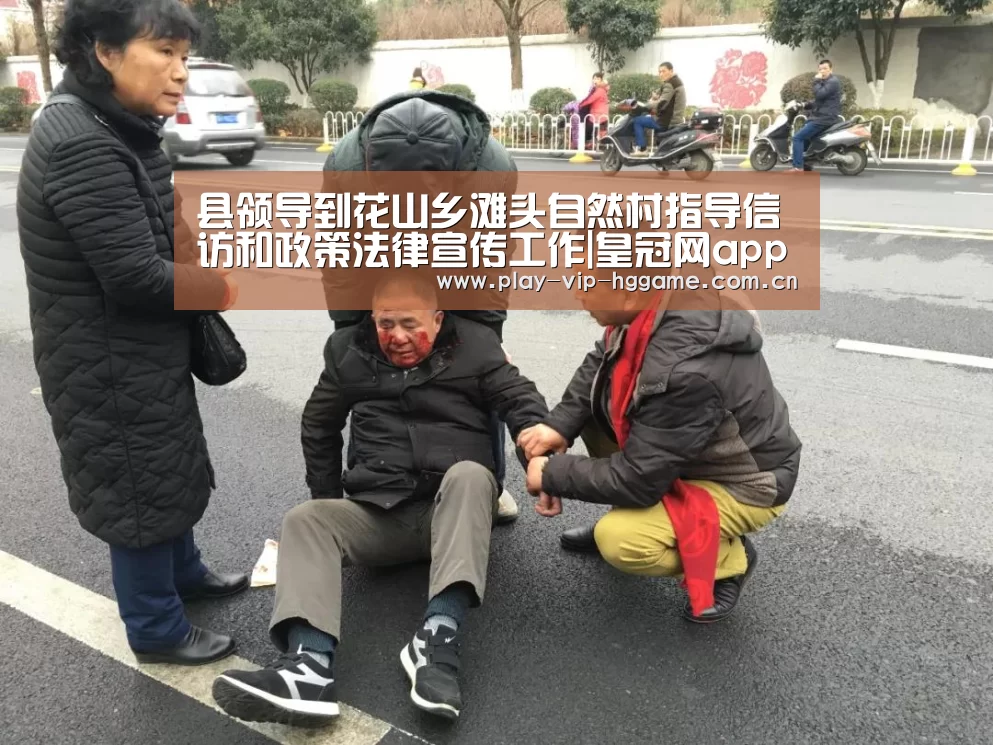 县领导到花山乡滩头自然村指导信访和政策法律宣传工作|皇冠网app下载(图1) 皇冠网app下载