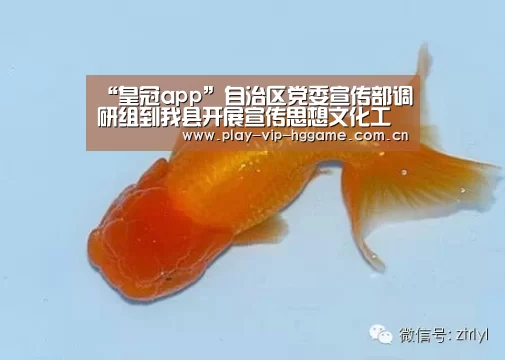 “皇冠app”自治区党委宣传部调研组到我县开展宣传思想文化工作调研(图2) 皇冠app
