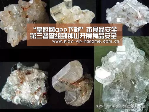 “皇冠网app下载”市食品安全第三督查组到钟山开展食品安全工作督查指导(图1) 皇冠app