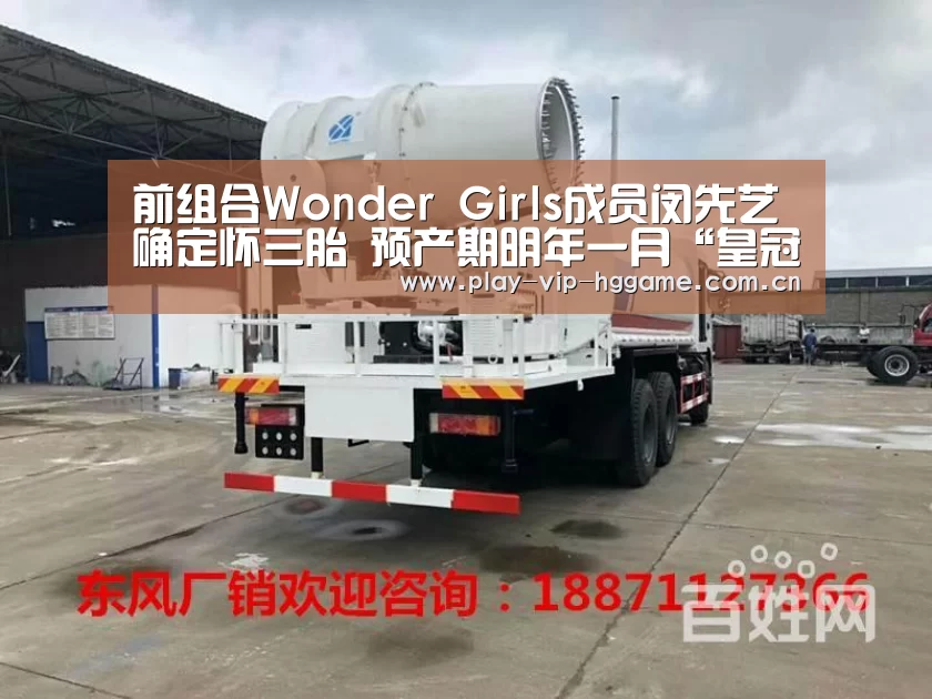 前组合Wonder Girls成员闵先艺确定怀三胎 预产期明年一月“皇冠app”(图3) 皇冠app