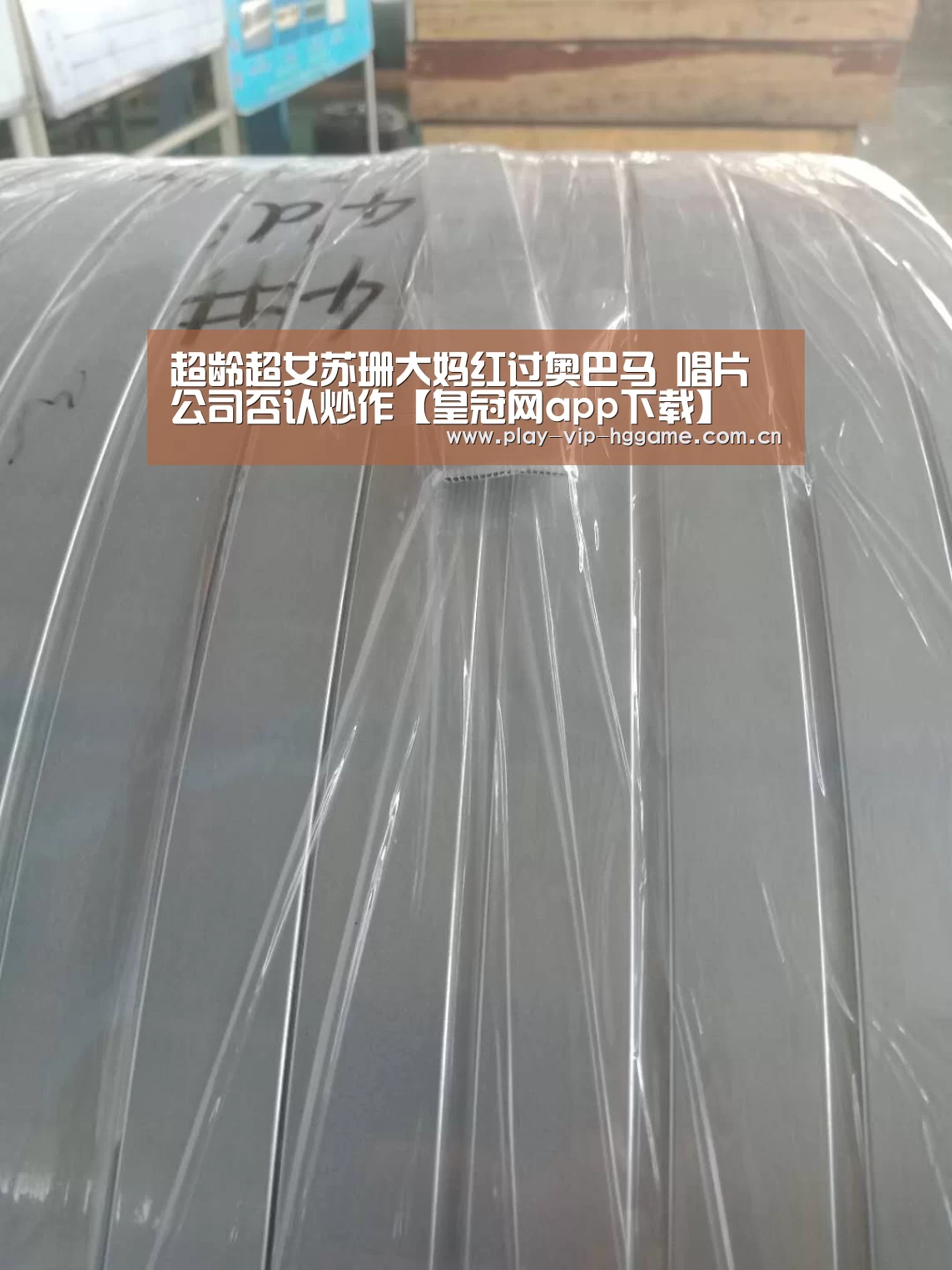 超龄超女苏珊大妈红过奥巴马 唱片公司否认炒作【皇冠网app下载】(图2) 皇冠网app下载