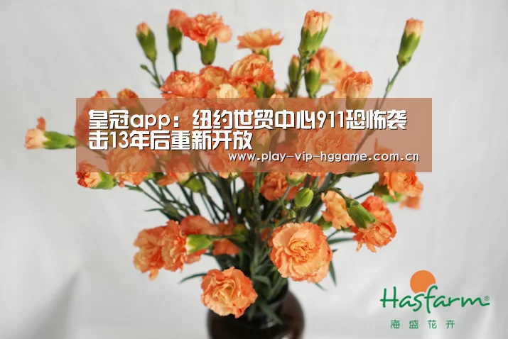 皇冠app:纽约世贸中心911恐怖袭击13年后重新开放(图1) 皇冠app