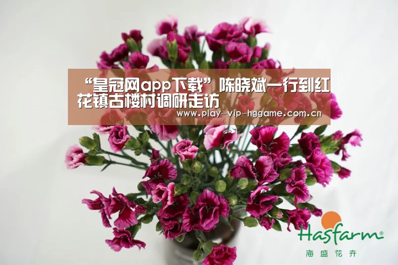 “皇冠网app下载”陈晓斌一行到红花镇古楼村调研走访(图1) 皇冠网app下载